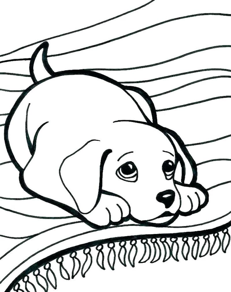 Coloring Pages Cute Dogs Puppies