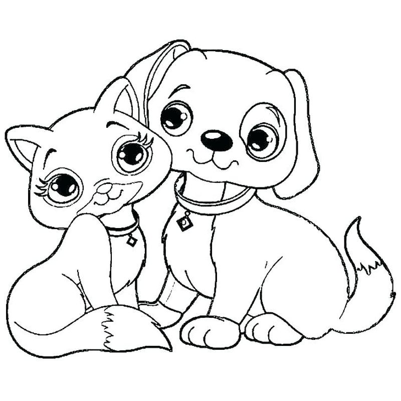 Colouring Pages Dogs And Cats