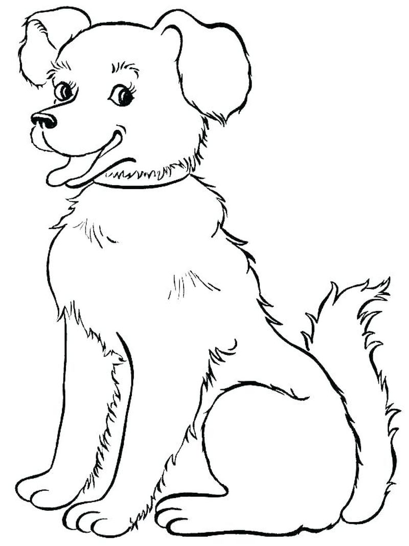 Colouring Pages Of Dogs And Cats