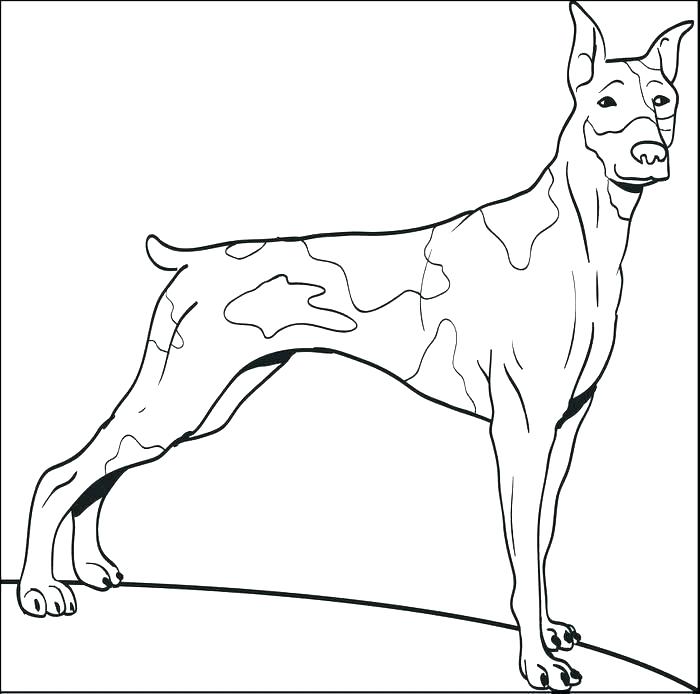 Dog Coloring Pages