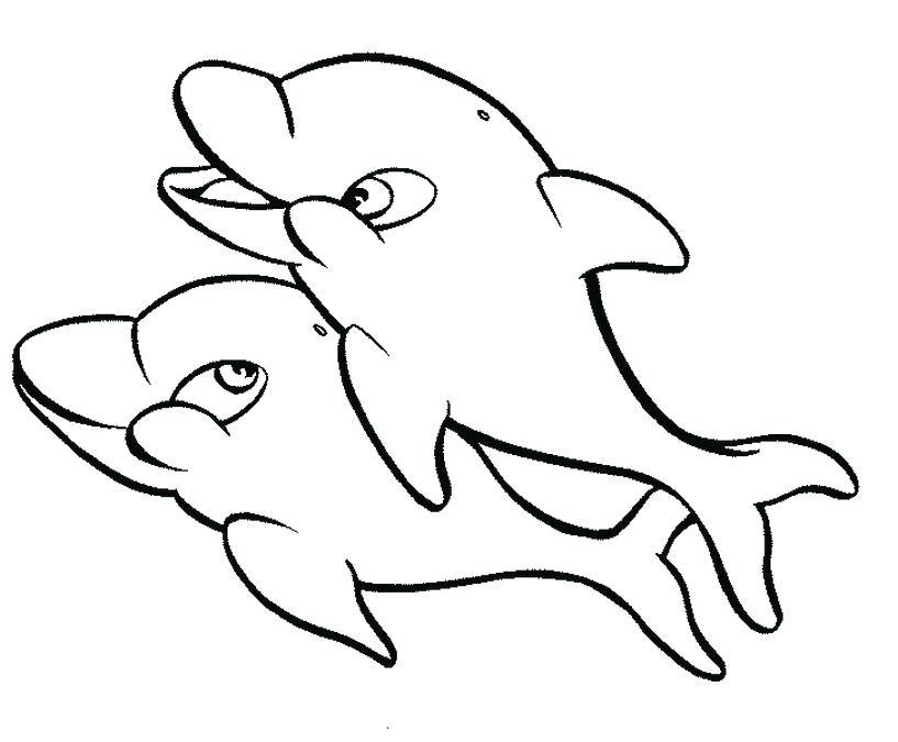 Dolphin Coloring Pages Online