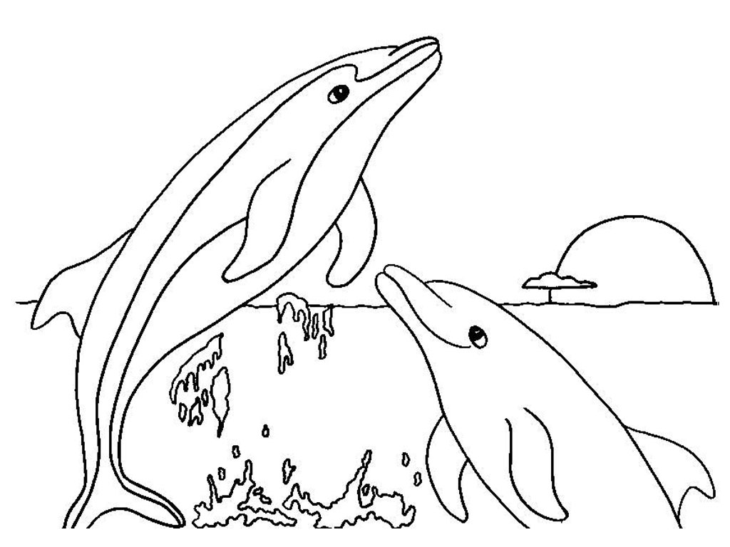 Dolphin Coloring Pages Online_