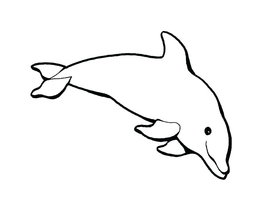 Dolphin Coloring Pages To Print