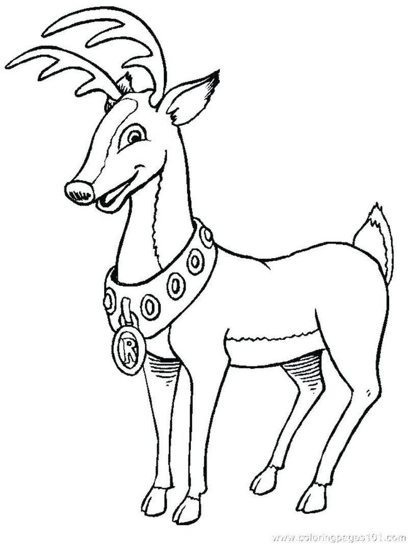 Free Printable Coloring Pages Of Deer