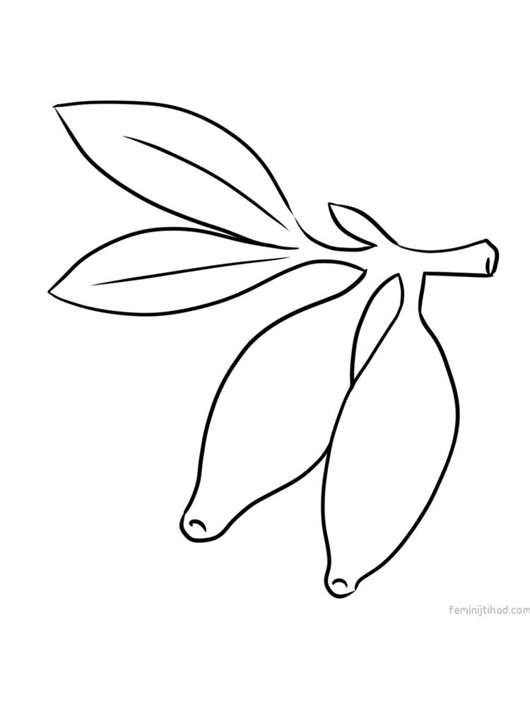 Printable honeyberry bw for coloring free