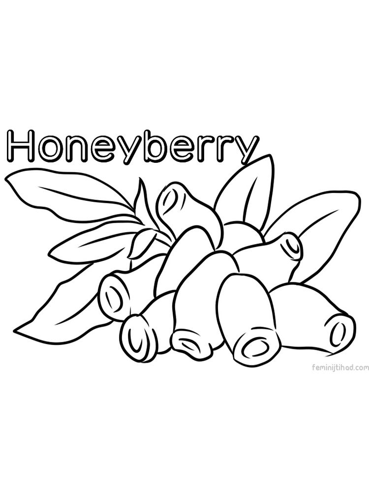 Printable honeyberry coloring image free