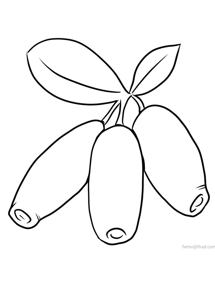 Printable honeyberry coloring pages print