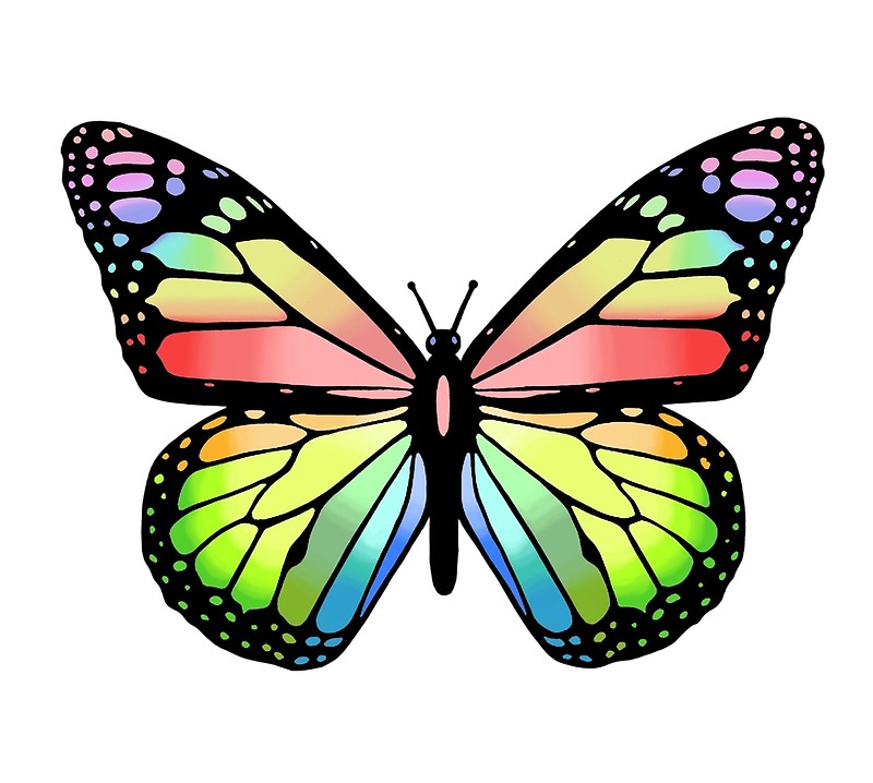 Butterfly Coloring Pages Printable