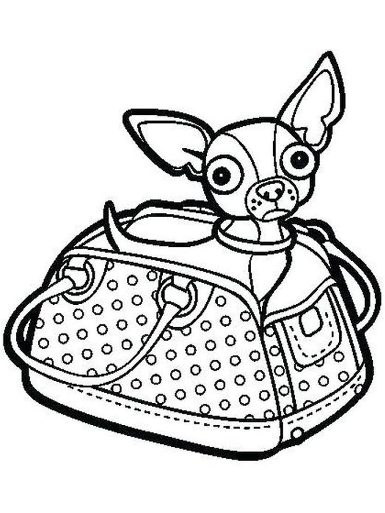 chihuahua coloring pages to print print