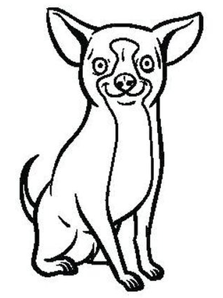 chihuahua puppy coloring pages print