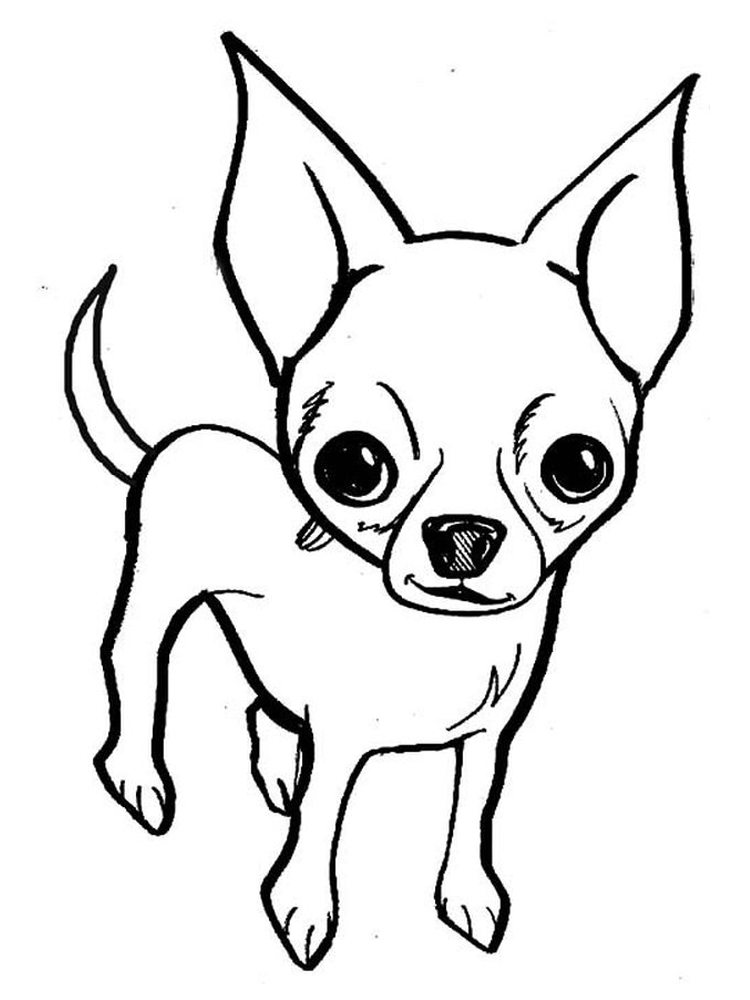 coloring pages of chihuahua