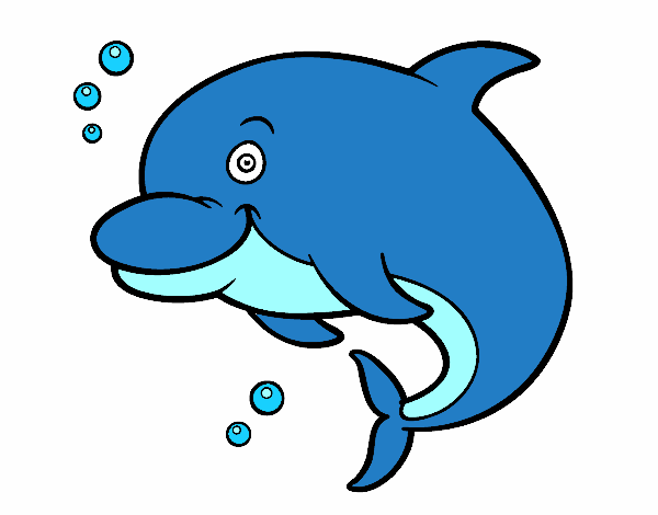 Dolphin Coloring Pages Printable