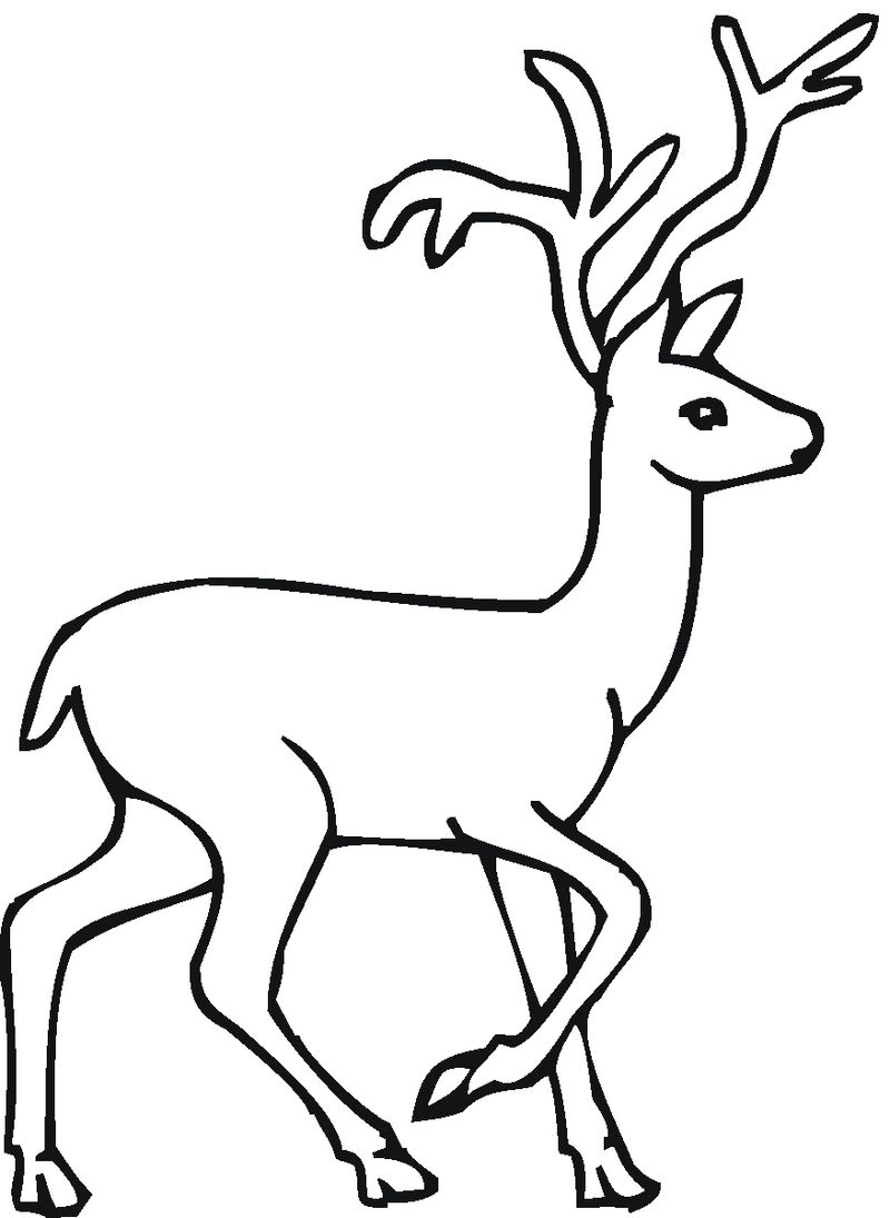 free Browning Deer Coloring Pages