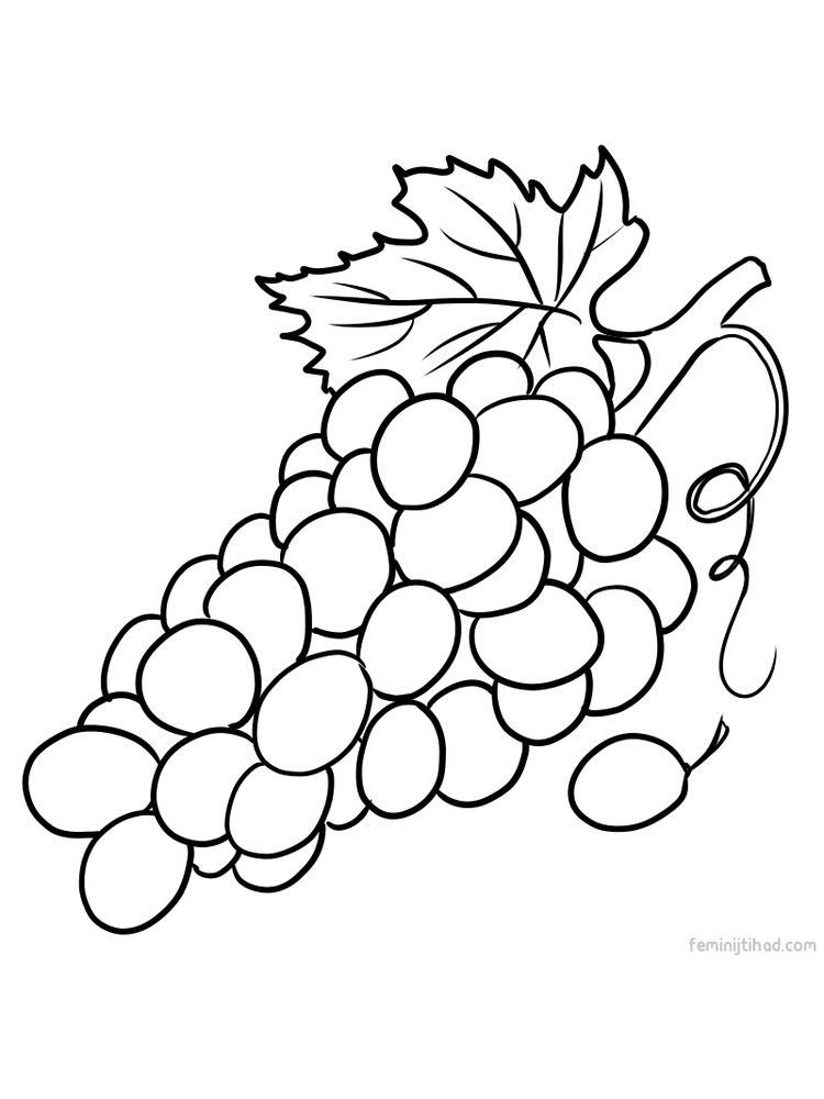 grape coloring images print free