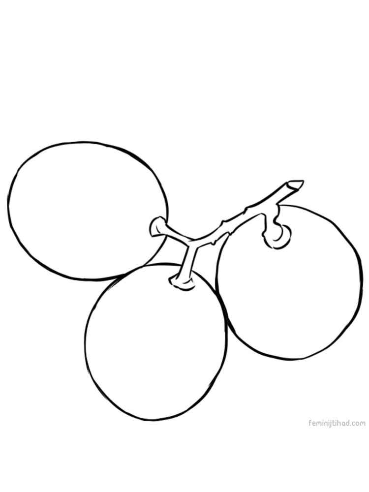 grape coloring page printable pdf