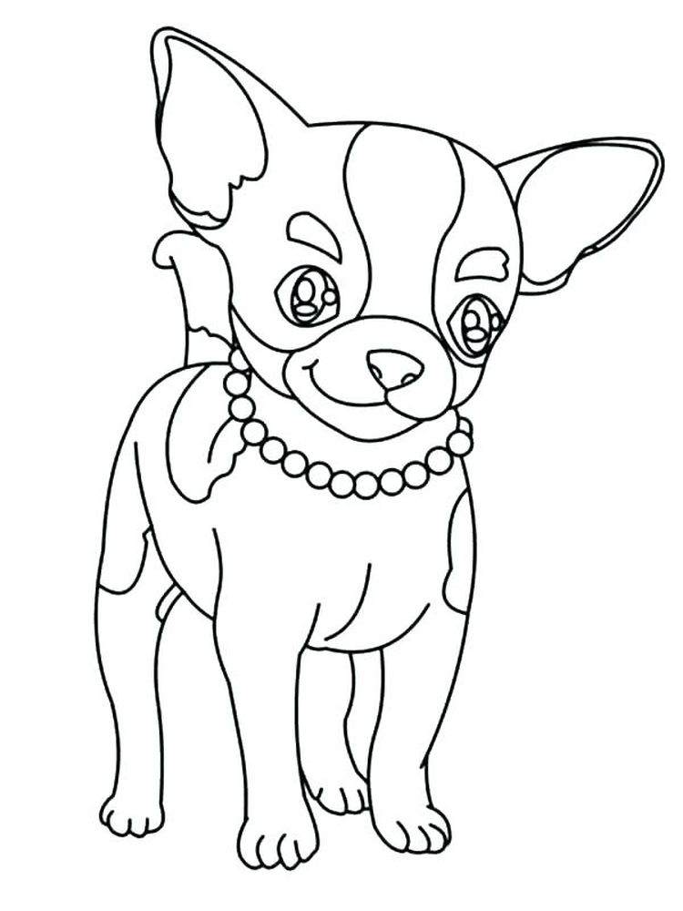 long haired chihuahua coloring pages