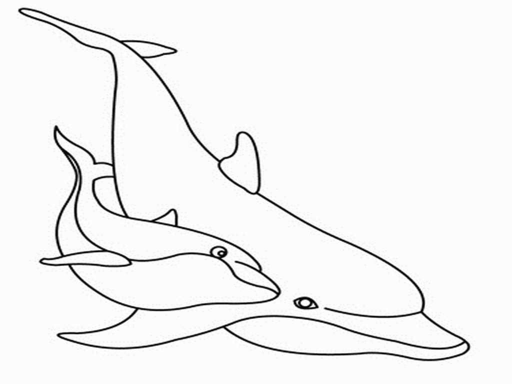 printable dolphin coloring pages Awesome Elegant Printable Dolphin Coloring Pages Coloring Pages