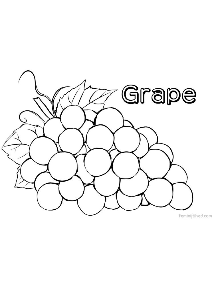 printable grape coloring images free download