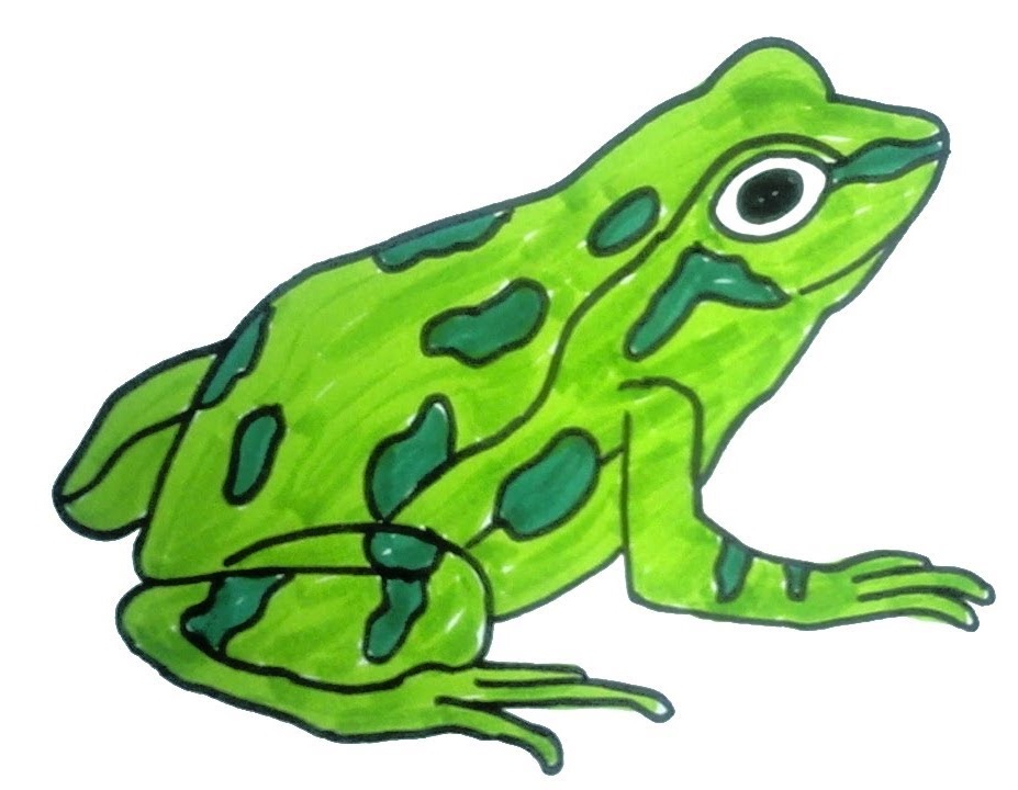 Fascinating Amphibians Frog Coloring Pages Printable