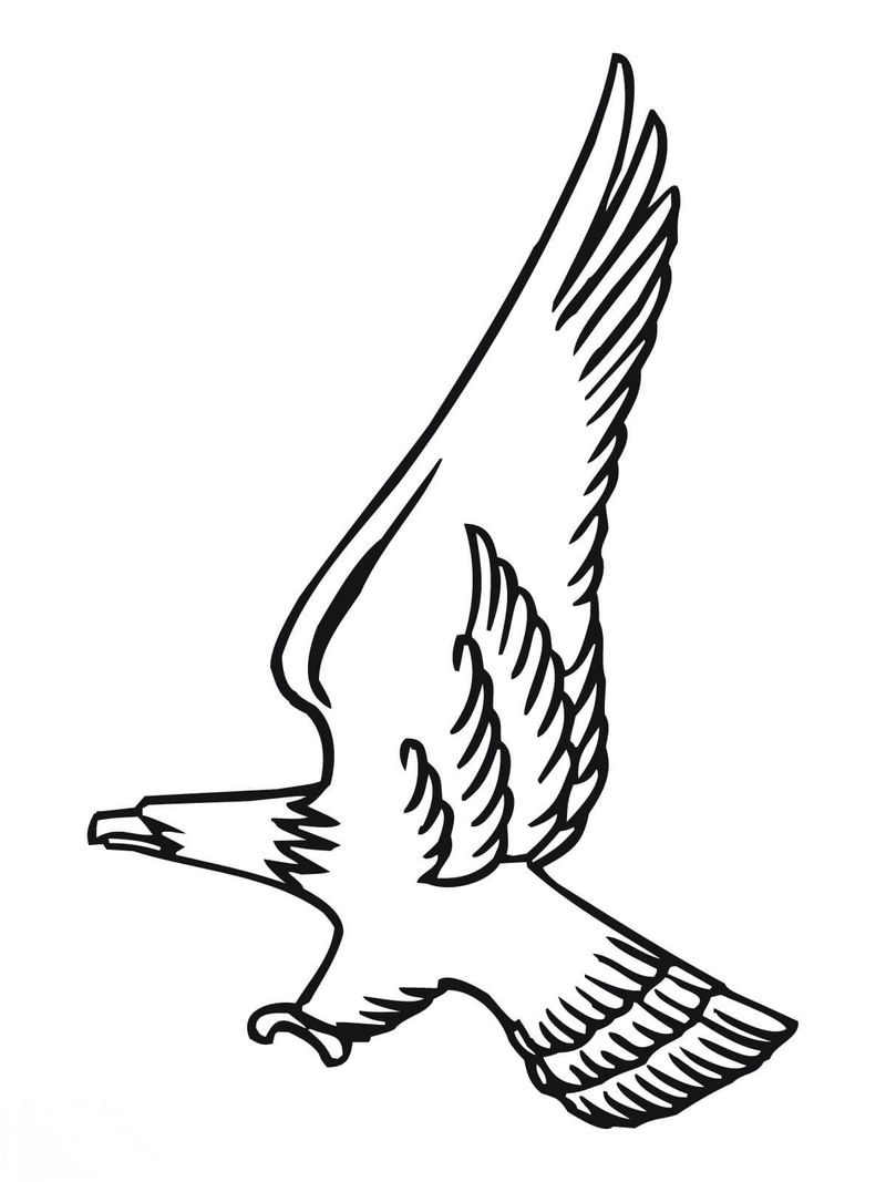 Eagle Coloring Pages Printable