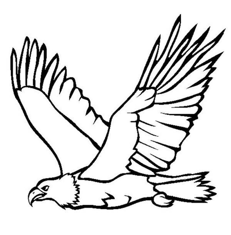 Eagle Mandala Coloring Pages