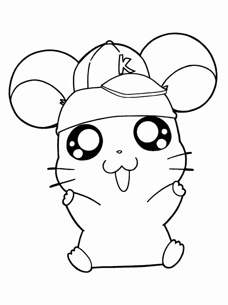 Free Hamster Coloring Pages Printable