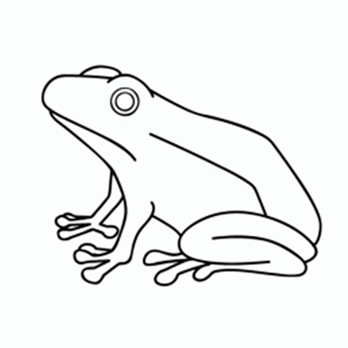 Free Printable Frog Coloring Pages For Adults