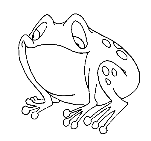 Frog And Lily Pad Coloring Pages