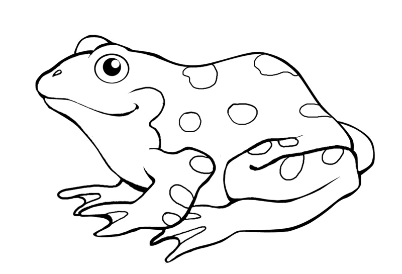 Frog Coloring Pages For Adults