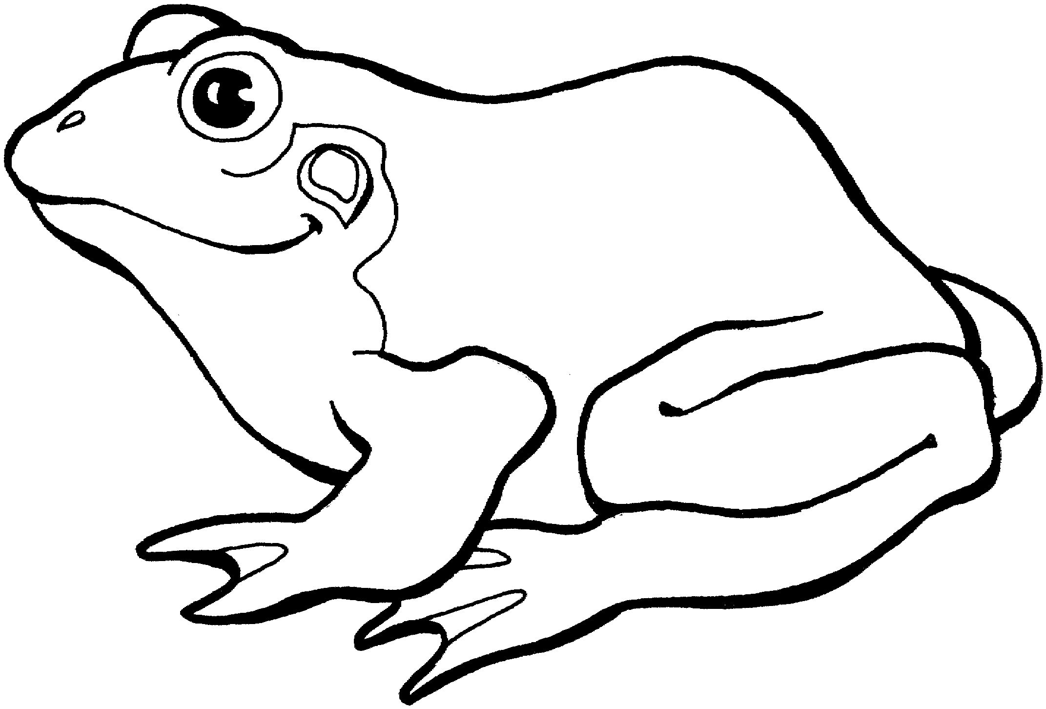 Frog Coloring Pages For Preschoolers_