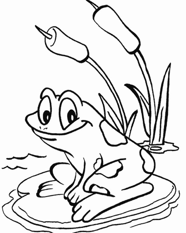 Frog Colouring Pages Free