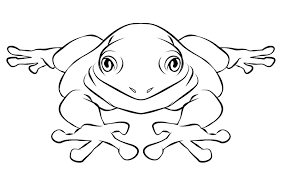 Frogs Colouring Pages