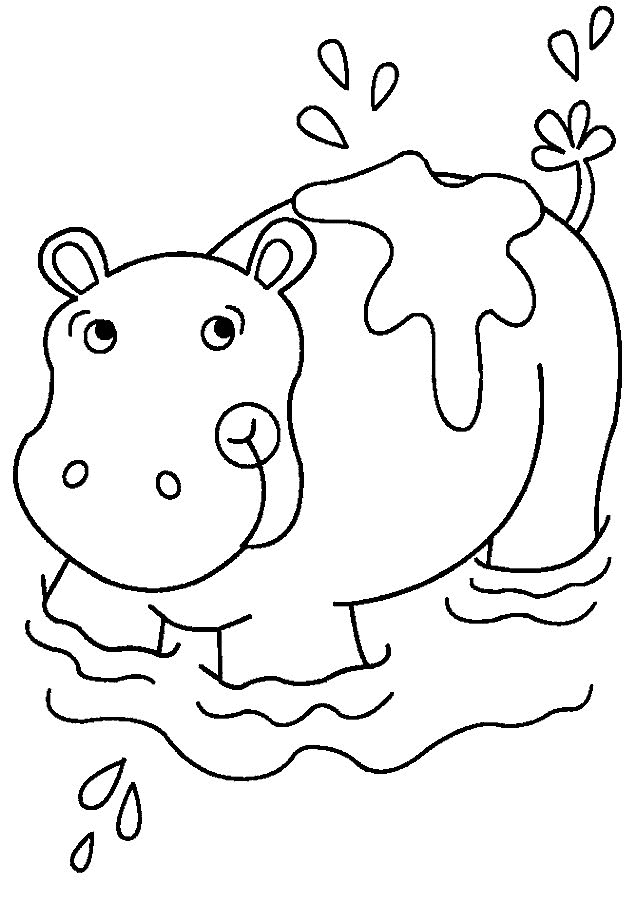 Hippo Coloring Pages