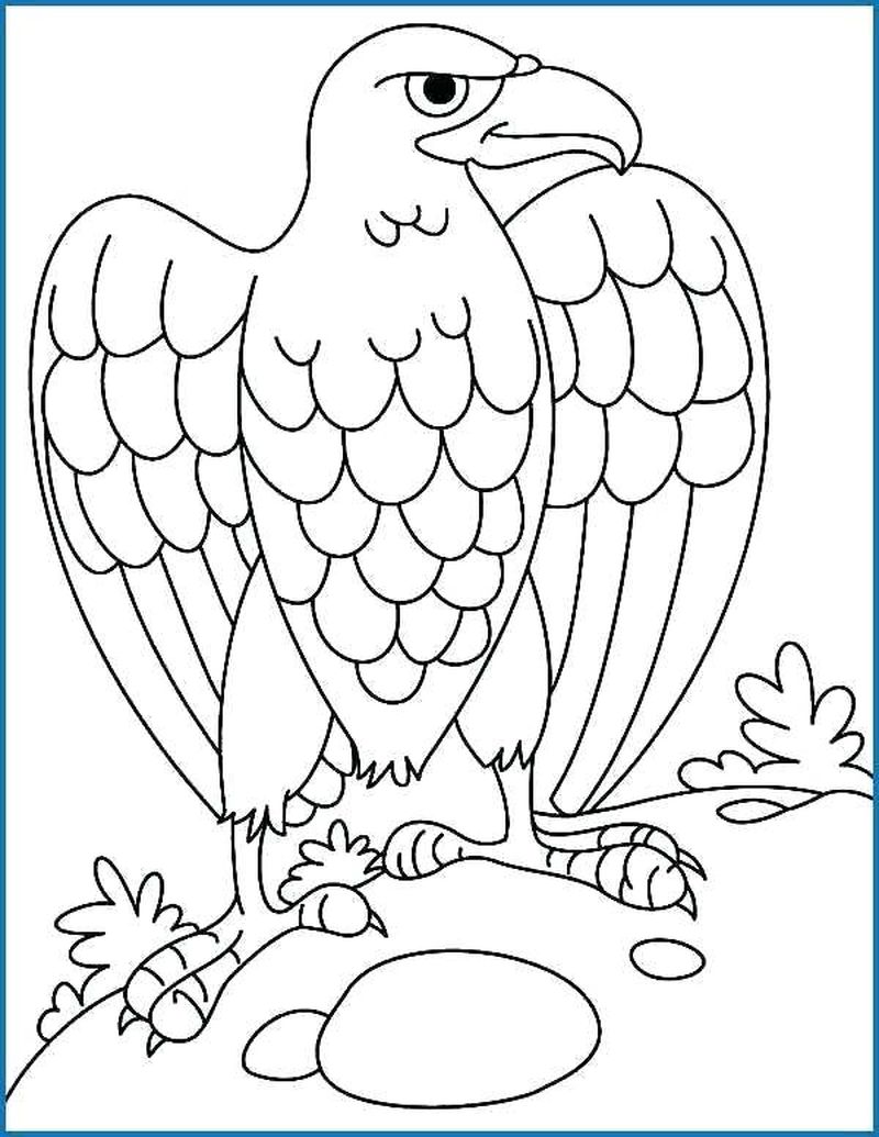 Philadelphia Eagle Coloring Pages