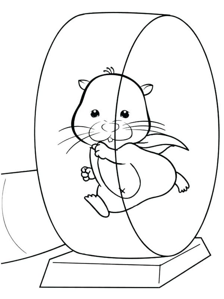 Printable Cartoon Hamster Coloring Pages