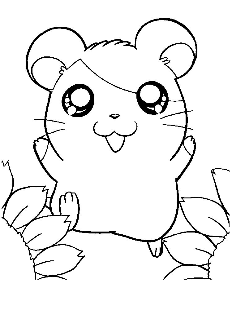 Printable Cute Hamster Coloring Pages