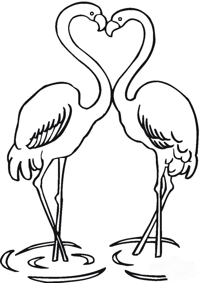 coloring pages of cartoon flamingos