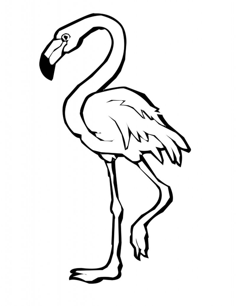 coloring pages of flamingos