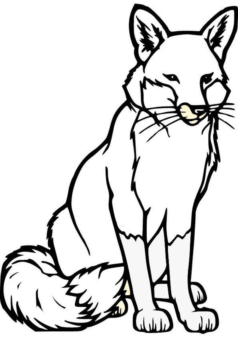 coloring pages red fox