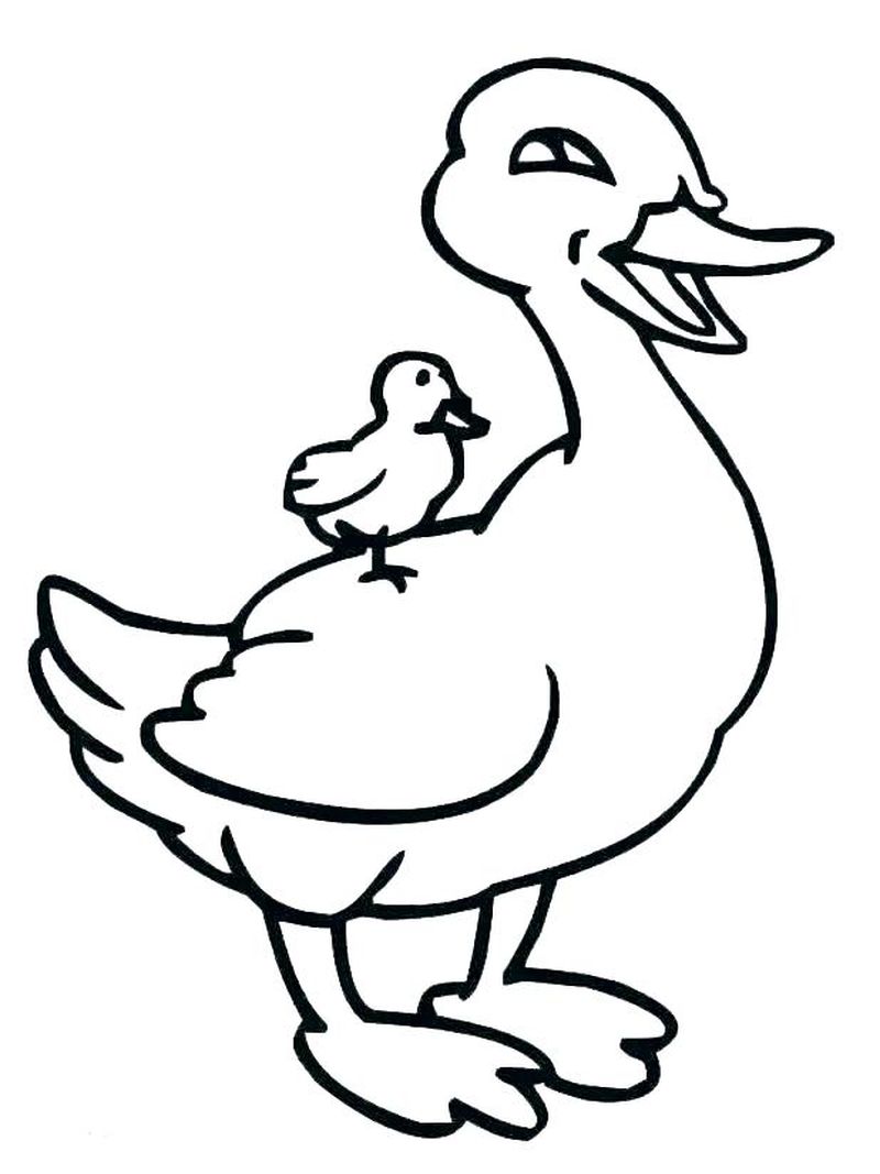 duck and goose coloring pages