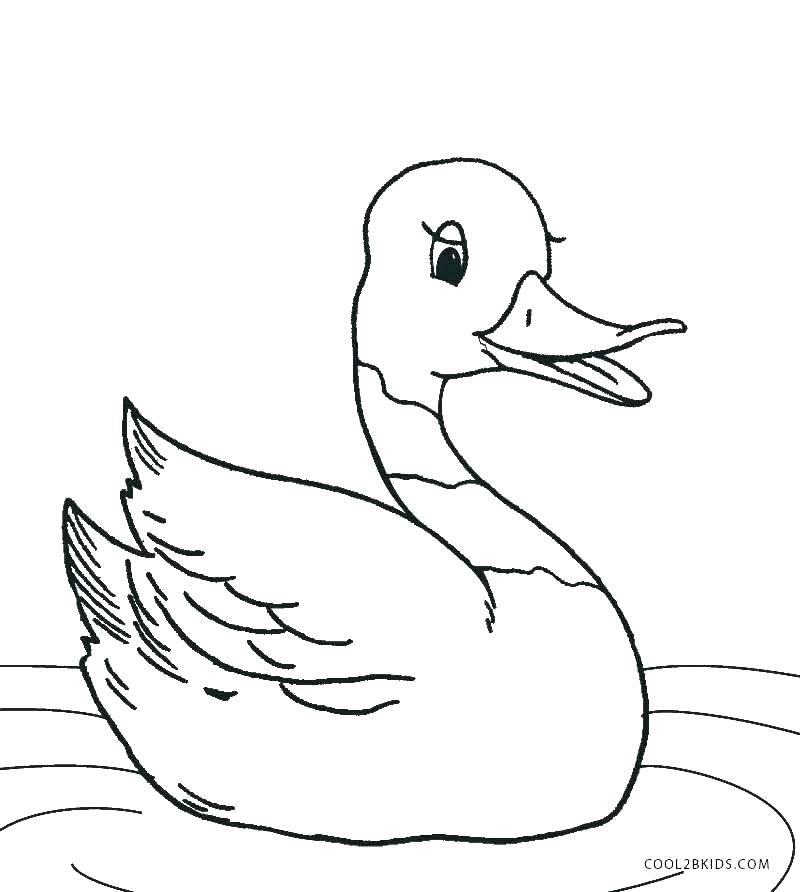 duck life coloring pages