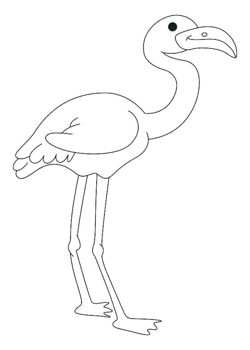 flamingo coloring pages printable