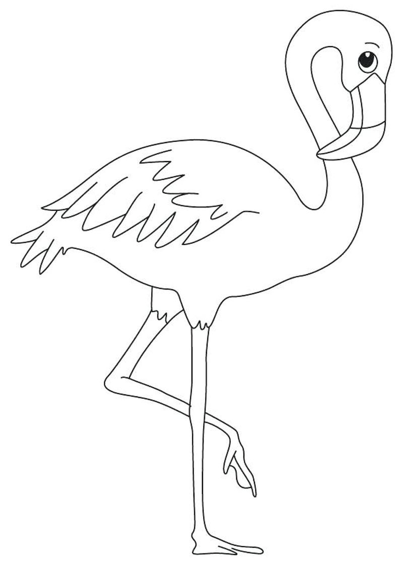 flamingo colouring pages free print