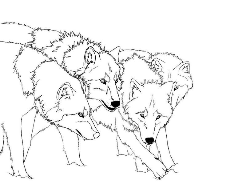 fox coloring pages for kids printable