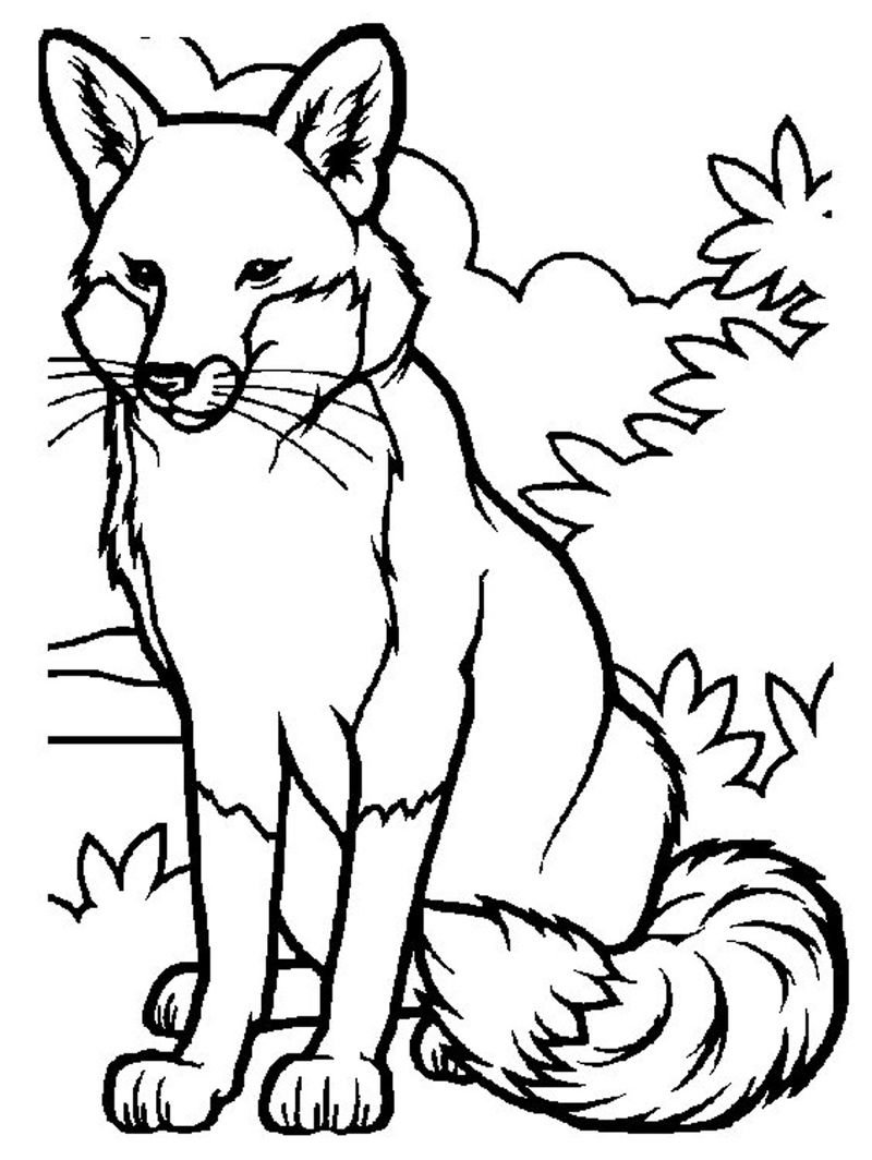 fox coloring pages freePrintable