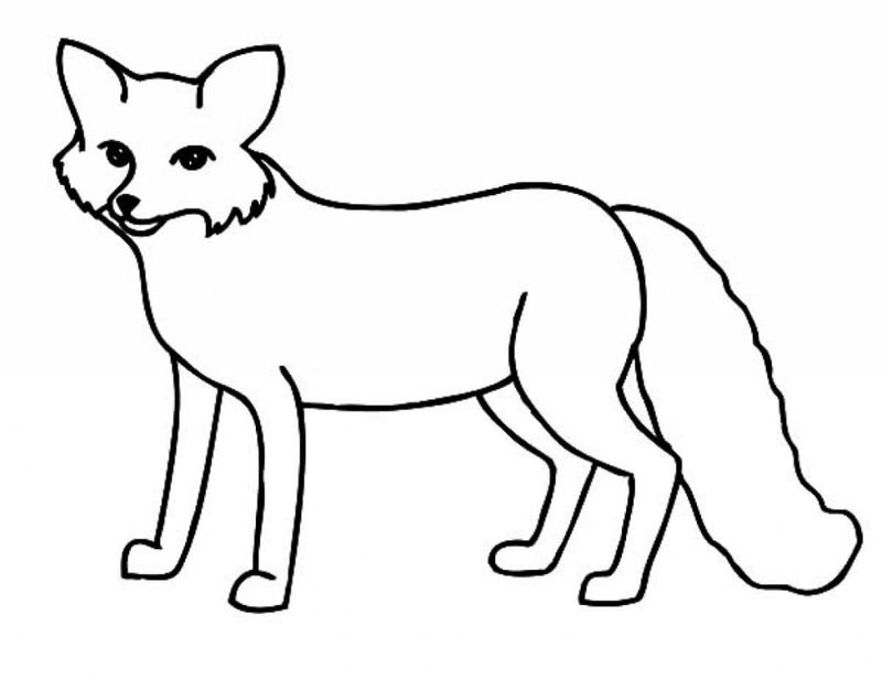 fox coloring pages to printPrintable