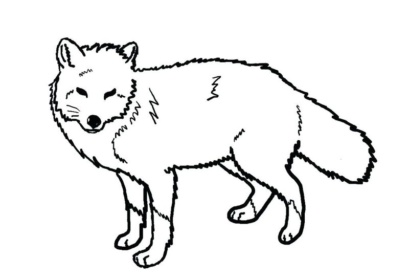 free PRINTABLE fox coloring pages