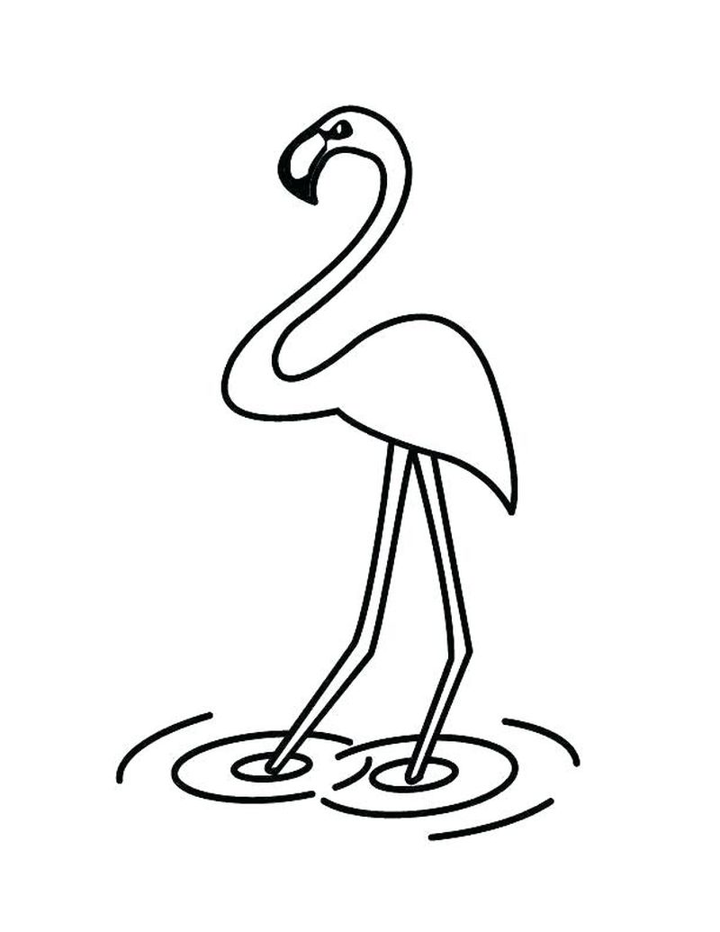 free coloring pages of flamingos