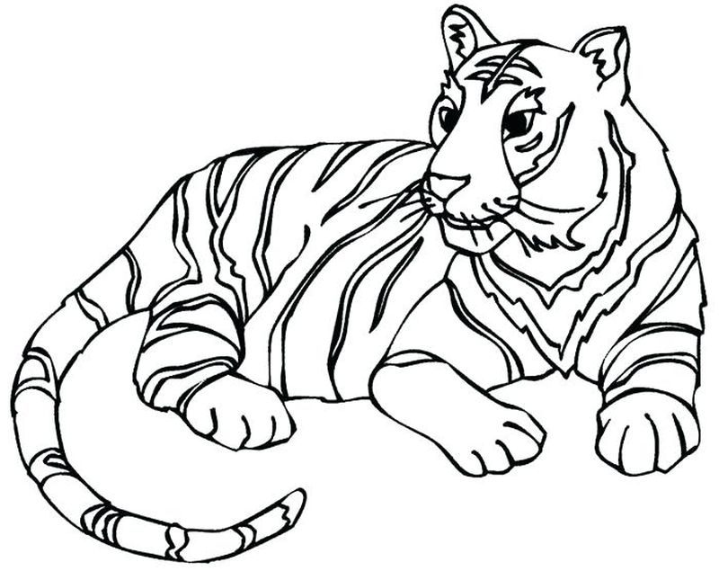 Auburn Tigers Football Coloring Pages