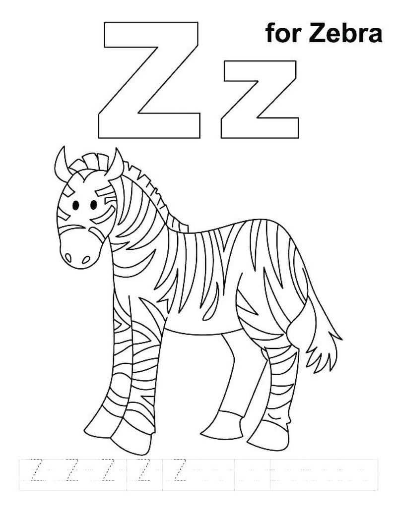 Baby Zebra Coloring Pages